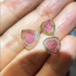 12.98 carats water melon tourmaline slices | natural tourmaline