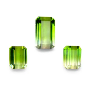 12.82carats octagon by color green tourmaline set