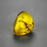 20 Ct Burmese Amber with Fossil Inclusion – Vivid Yellow Natural Gemstone
