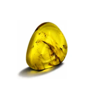 20 Ct Burmese Amber with Fossil Inclusion – Vivid Yellow Natural Gemstone