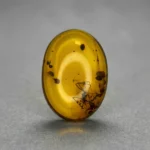 30 Ct Certified Burmese Yellow Amber with Spider Fossil Inclusion – Natural Collector’s Gem