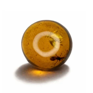 9.2 Ct Certified Burmese Amber with Insect Fossil Inclusion – Natural Round Gemstone