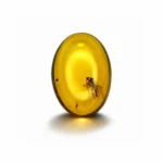 9.42 Ct Burmese Amber with Fossil Inclusion – Vivid Yellow Natural Gemstone