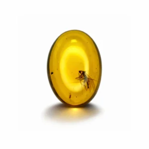 9.42 Ct Burmese Amber with Fossil Inclusion – Vivid Yellow Natural Gemstone